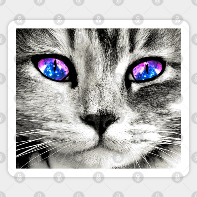 Galaxy Cat Eyes Sticker by julieerindesigns